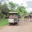 ZMB EAS SouthLuangwa 2016DEC10 KapaniLodge 004 : 2016, 2016 - African Adventures, Africa, Date, December, Eastern, Kapani Lodge, Mfuwe, Month, Places, South Luangwa, Trips, Year, Zambia